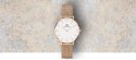 Zegarek Damski Daniel Wellington Petite Melrose DW00100163